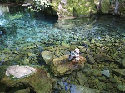 Прикрепленное изображение: IMG_20220507_145842.jpg